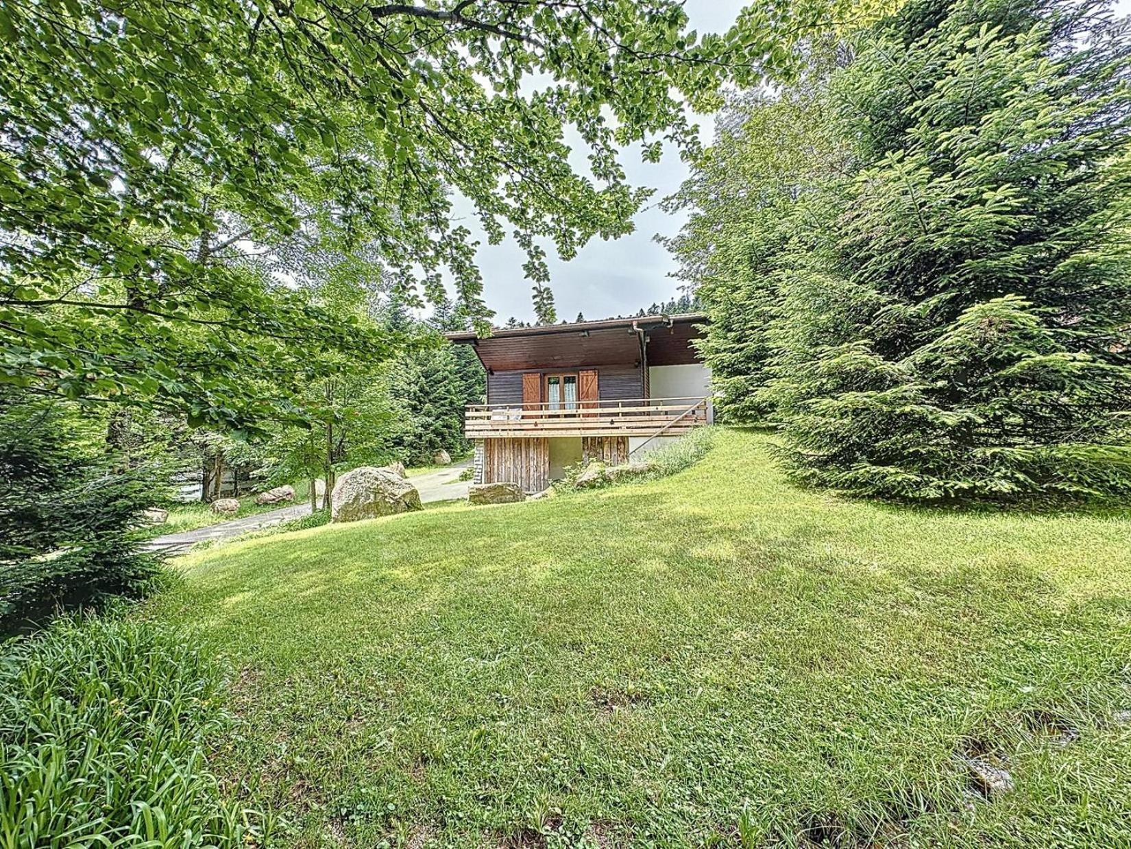 Вілла Le Chalet Des Belles Roches, La Bresse Hohneck Екстер'єр фото